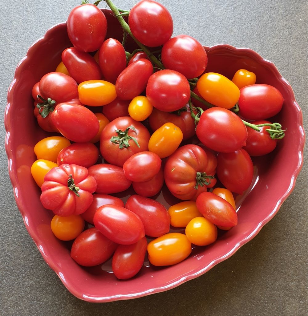 Bunter Tomatensalat mit Feta aus dem Ofen - Cocina Feliz